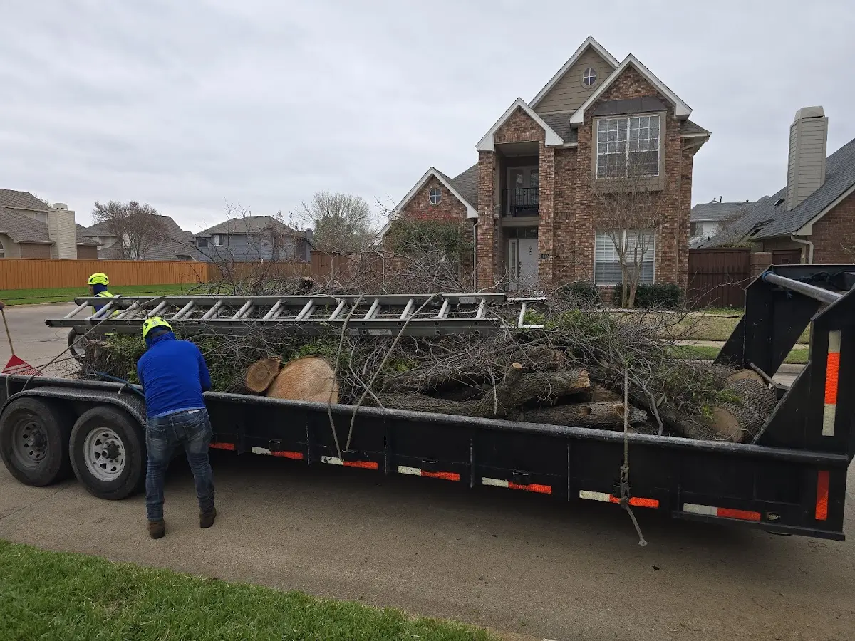 Expert Tree Fertilization with proper safety equipment in Delmont